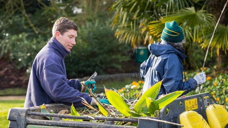 Gardener and volunteer at Waddesdon Manor, Buckinghamshire